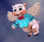 Un cochon ange?