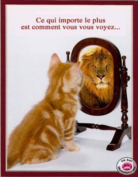 Pourquoi les gens sont comme ça